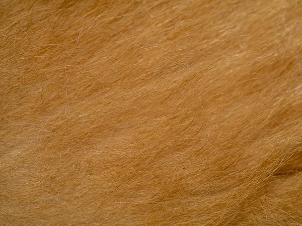 Close up brown dog fur textures.