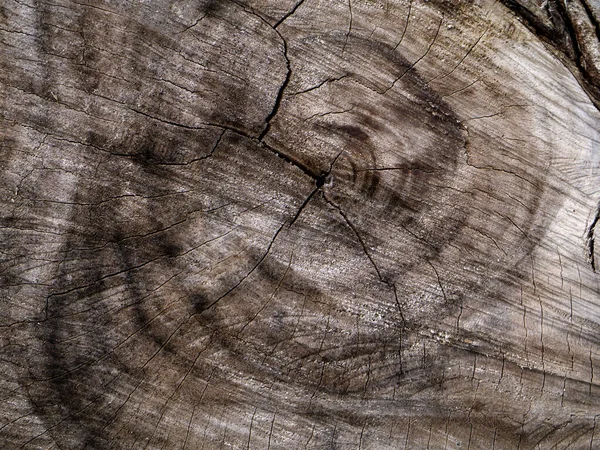 Alte Holz Hintergrund schließen. — Stockfoto