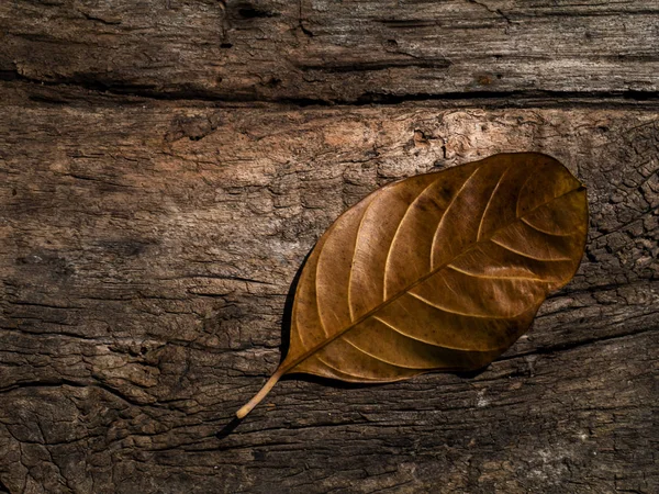 Gros plan fond de texture de bois brun dans le ton vintage . — Photo