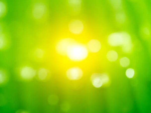 Fondo Verde Desenfoque Con Luz Bokeh —  Fotos de Stock