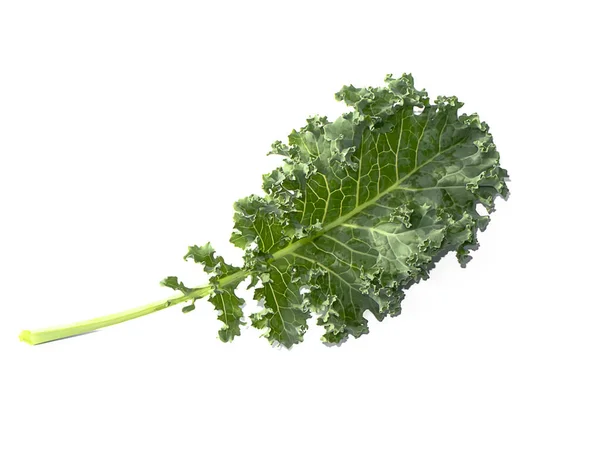 Grünkohlblätter Auf Weißem Hintergrund Mit Sanftem Schatten Wissenschaftlicher Name Brassica — Stockfoto