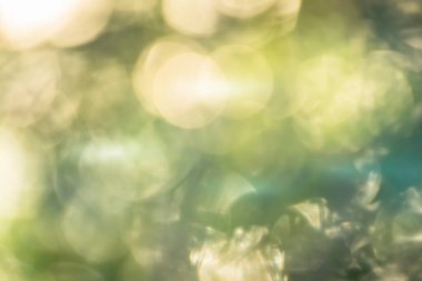 Güneş ışığı ve bokeh ışığıyla bulanık arkaplan.