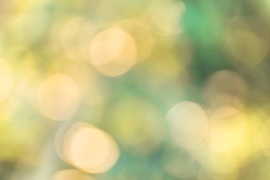 Güneş ışığı ve bokeh ışığıyla bulanık arkaplan.