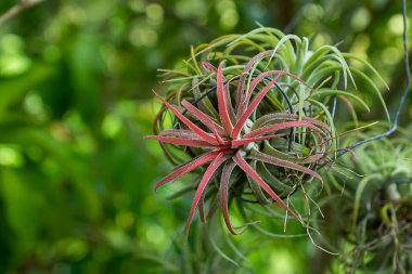 Tilland hava sahasının arka planında bulanık bir hava tesisini kapatın..