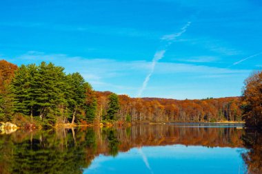 Orman ağaçları sonbaharda Harriman State Park, NY sakin su yansıtan.