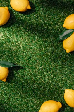 üstten görünüm limon ile yeşil çimenlerin üzerine bırakır 