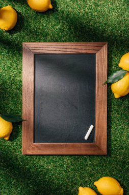 üstten görünüm boş yazı tahtası ve limon ile yeşil çimenlerin üzerine bırakır