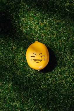 elevated view of lemon with drawing smiling face on green lawn  clipart