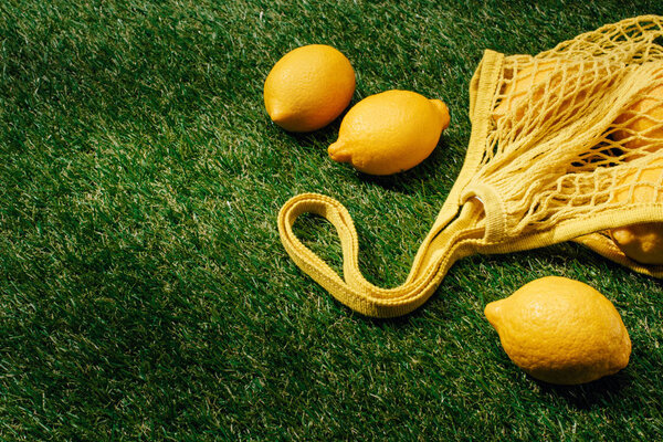 closeup view of lemons and net on green lawn 