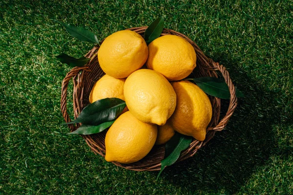 Top View Lemons Leaves Wicker Basket Green Lawn — Stock Photo, Image