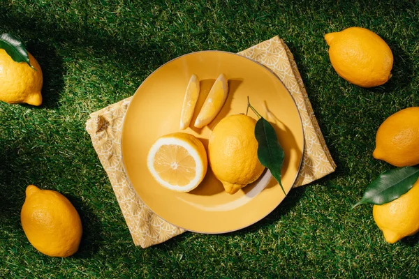 top view of plate with lemons and lemon slices on green lawn