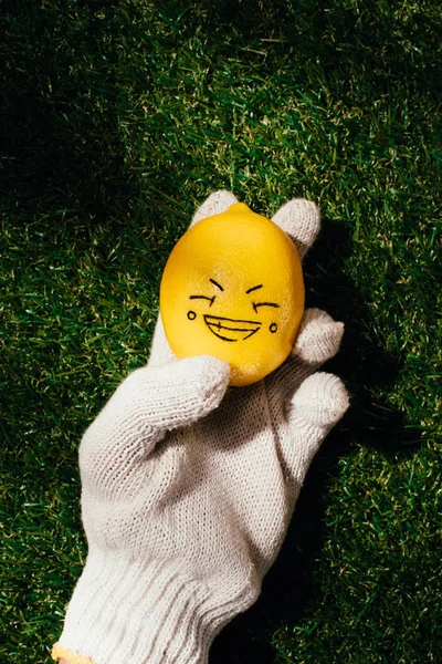 Cropped Shot Person Holding Lemon Drawing Face Green Lawn — Free Stock Photo