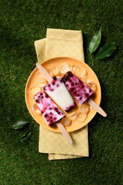 Delicious ice cream pops in plate on green grass background clipart