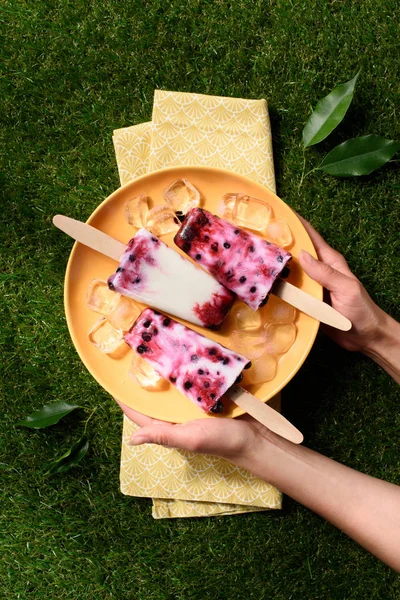 Woman Holding Plate Fruit Ice Pops Green Grass Background — Stock Photo, Image