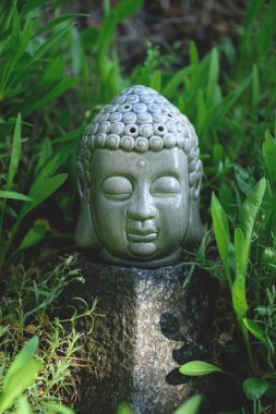 close up of Buddha head on stone with green plants around clipart