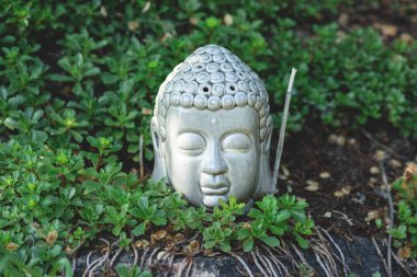 Buddha head with aromatic smoking stick and green plants around clipart