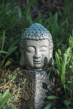 Buddha head on stone with green plants around clipart