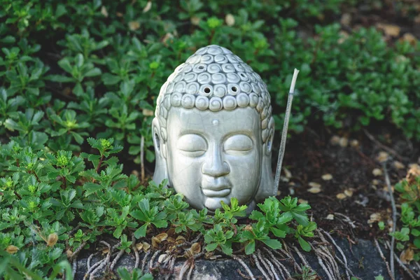 Buddha Huvud Med Aromatisk Rökning Stick Och Gröna Växter Runt — Stockfoto