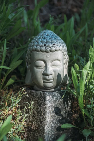 Boeddha Hoofd Steen Met Groene Planten Rond — Stockfoto