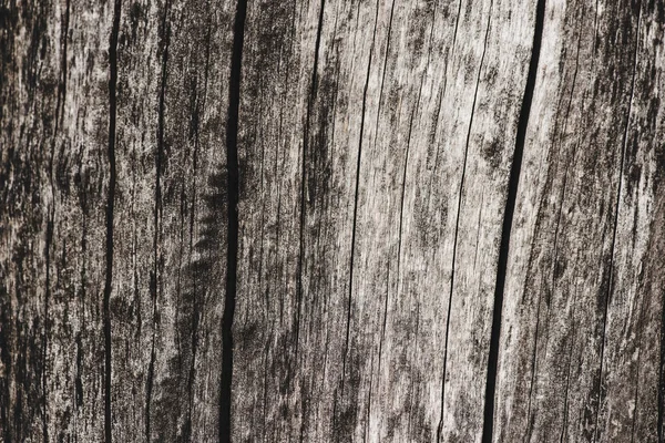 Dry Wood Texture Cracks Background — Free Stock Photo