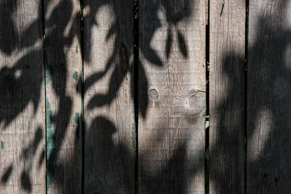 Full Frame Image Wooden Fence Shadow Leaves Background — Stock Photo, Image