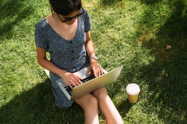 overhead view of freelancer working on laptop on green lawn in park clipart