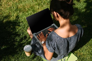 arkadan görünüşü Park yeşil çim üstünde laptop üzerinde serbest meslek