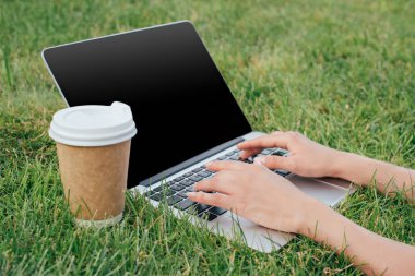 atış Park yeşil çim boş ekran ile dizüstü bilgisayarda yazarak Freelancer kırpılmış