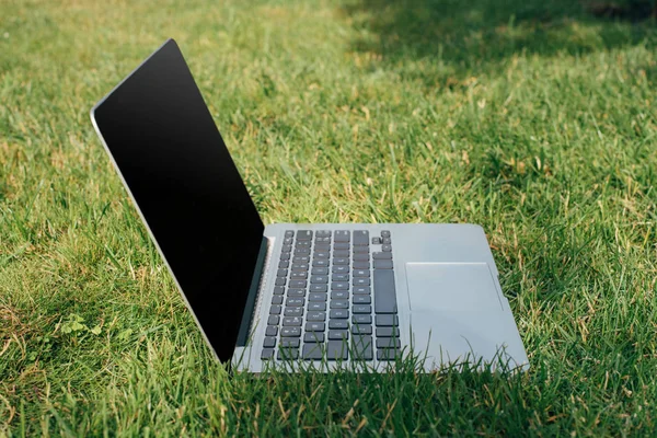 close up view of laptop on green grass in park