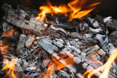 close up of bonfire with flame and firewood outdoors