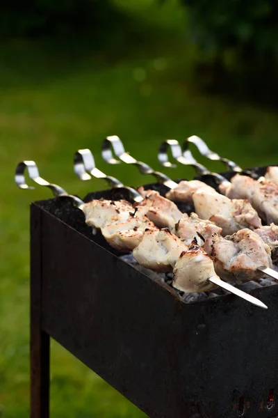 Selective Focus Raw Pork Kebab Skewers Barbecue — Stock Photo, Image