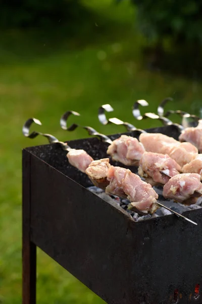 Roher Schweinebraten Spieß Beim Grillen — kostenloses Stockfoto
