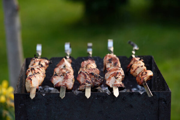 pork kebab (shashlik) on skewers at barbecue in park