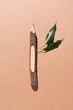 top view of wooden pencil with green leaves on beige  clipart