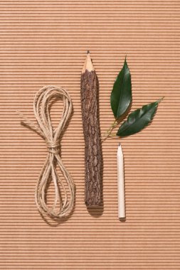 top view of string, wooden pencil, graphite pencil and green leaves on cardboard clipart