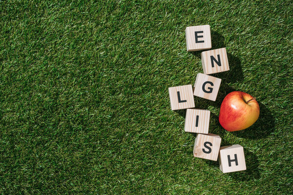 top view of fresh apple and english inscription made of wooden blocks on green grass