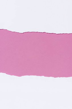 yırtık boş beyaz kağıt üstten görünüm pembe üzerinde 