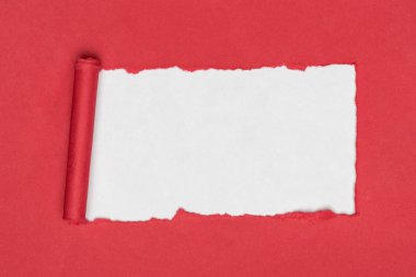 top view of red ripped paper on white  clipart