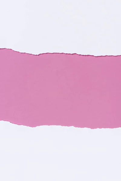 Vista Superior Rasgado Livro Branco Vazio Sobre Rosa — Fotografia de Stock