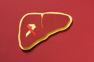 kırmızı arka plan, dünya hepatit gün kavramı üzerinde karaciğer kurdele ile üstten görünüm