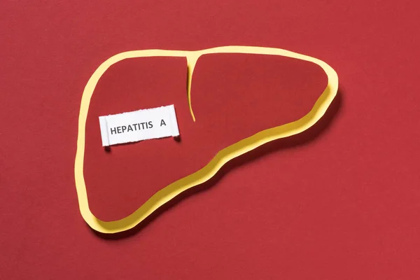 Vista Superior Del Hígado Letras Hepatitis Sobre Fondo Rojo Concepto — Foto de Stock