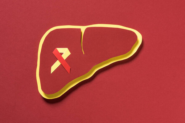 top view of liver with ribbon on red background, world hepatitis day concept