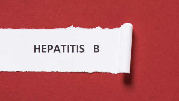 top view of lettering hepatitis b on paper on red background, world hepatitis day concept