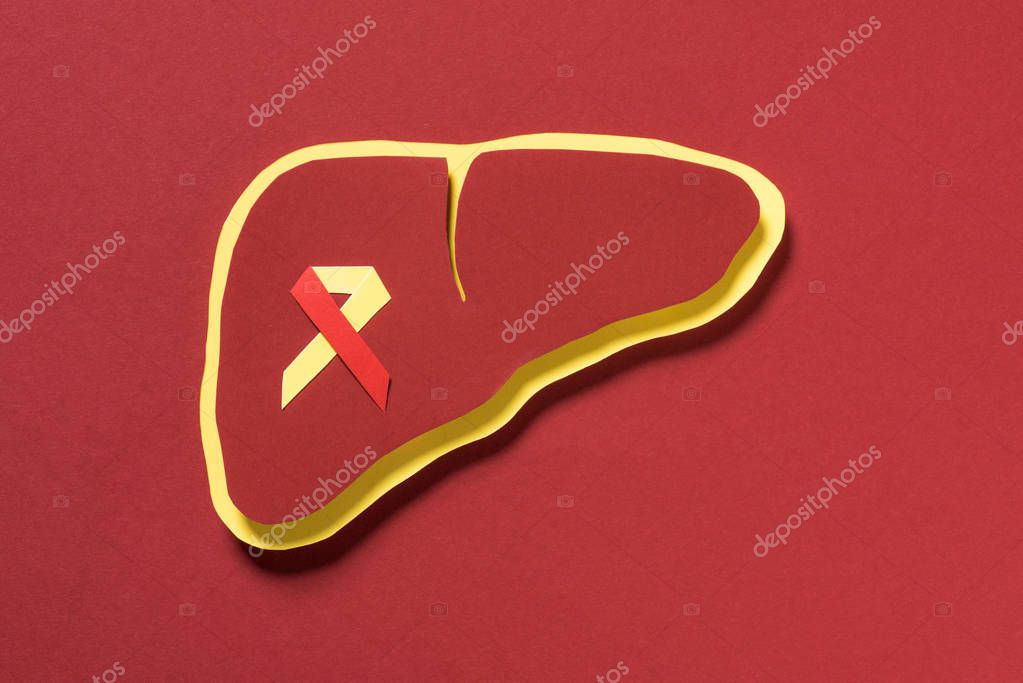 Top view of liver with ribbon on red background, world hepatitis day concept