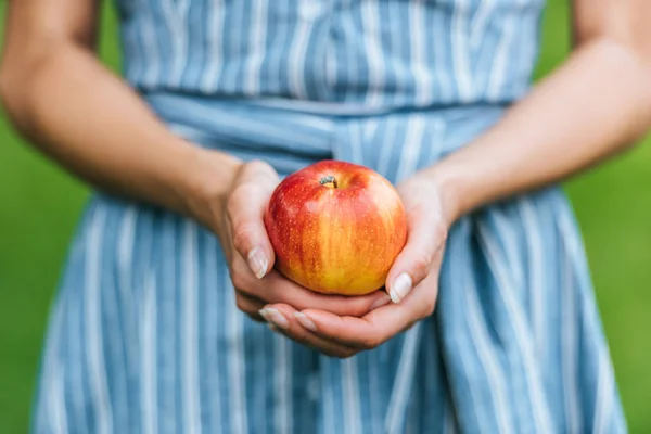 Partial View Girl Holding One Ripe Apple Hands — Stock Photo, Image