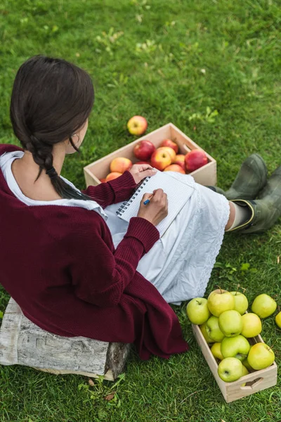 Rear View Girl Writing Notepad Sitting Garden Wooden Boxes Apples — Free Stock Photo
