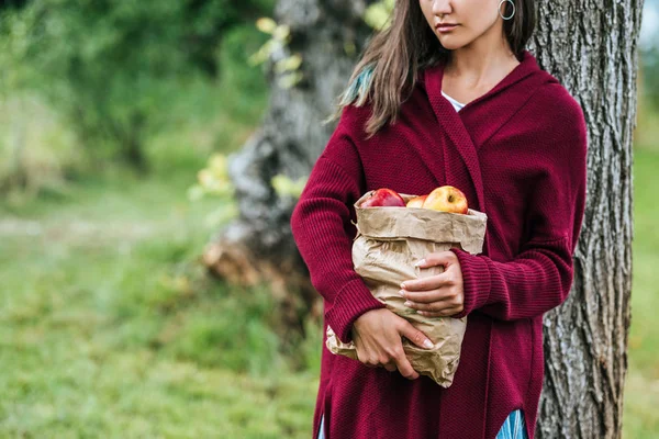 Cropped View Girl Holding Paper Bag Apples Garden — Free Stock Photo