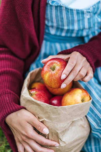 Vista Recortada Niña Sosteniendo Bolsa Papel Con Manzanas Maduras — Foto de stock gratis