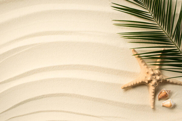 top view of arranged palm leaf, seashells and sea star on sandy surface