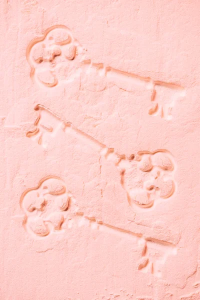 Shapes Retro Keys Light Pink Powder Background — Stock Photo, Image